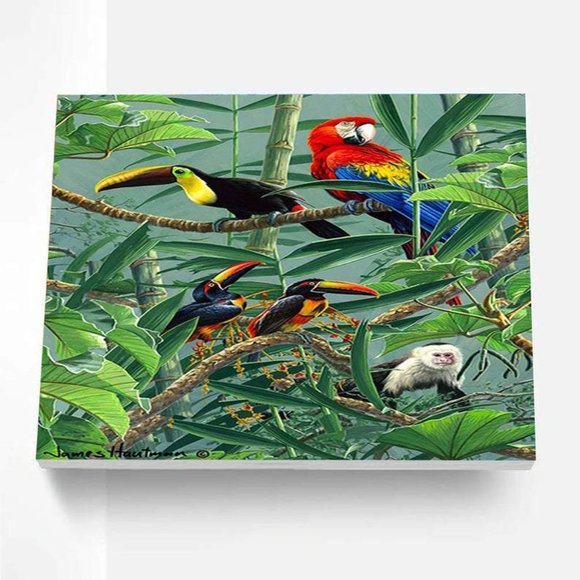 Paint By Numbers Kit Rainforest Menagerie - Picture 3 of 4